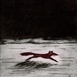 Red Fox, etching